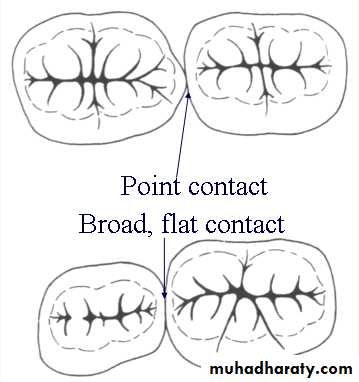 Morphology of Deciduous teeth