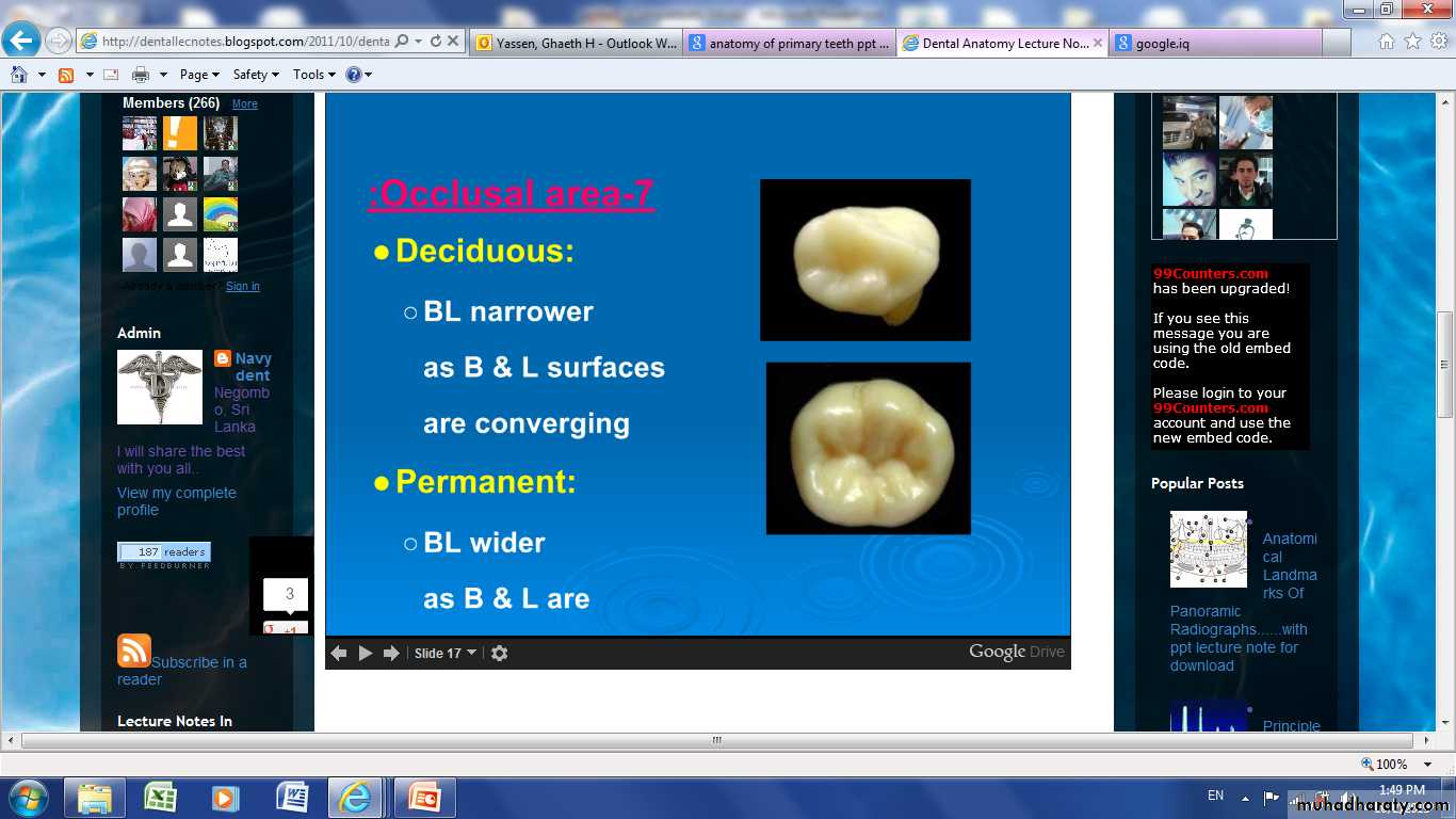 Morphology of Deciduous teeth