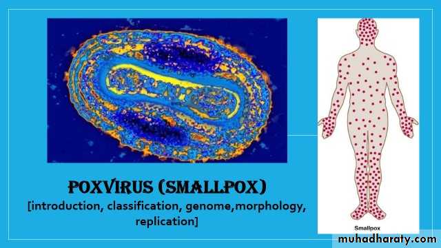 Nomenclature of viruses