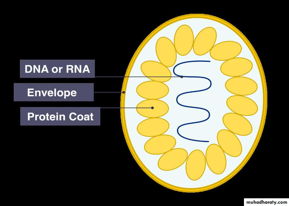 Nomenclature of viruses