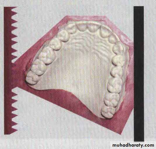 Study model