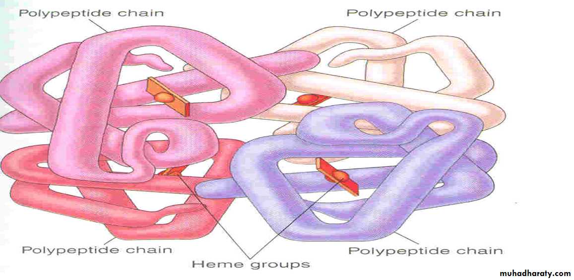 Hemoglobin and Hemoglobinopathies