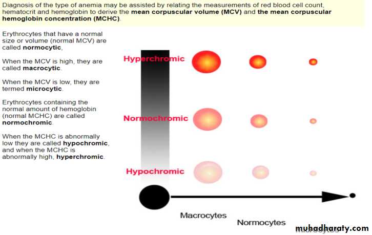 Hemoglobin and Hemoglobinopathies