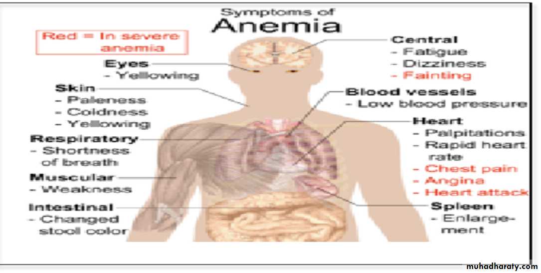 Hemoglobin and Hemoglobinopathies