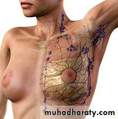 Breast
