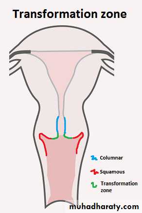 Premalignant condition of the cervix