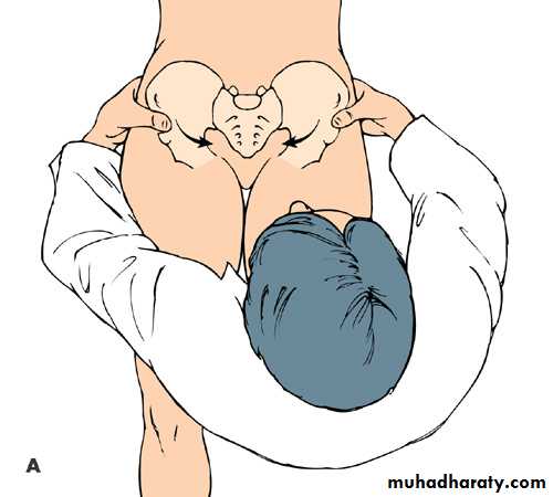Back Pain