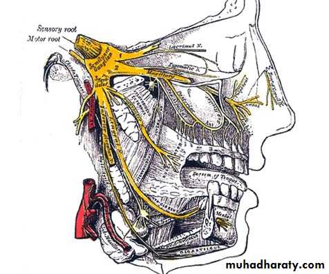 Cranial nerves disorders