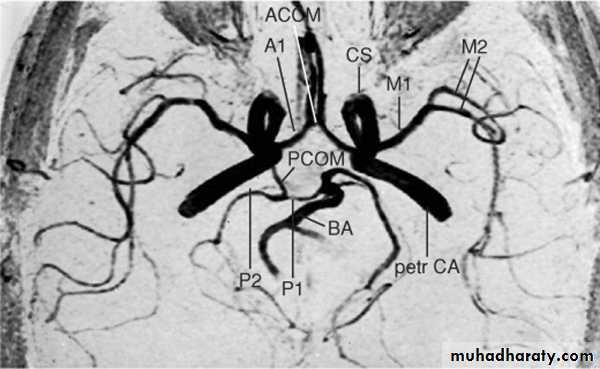 MRI physics