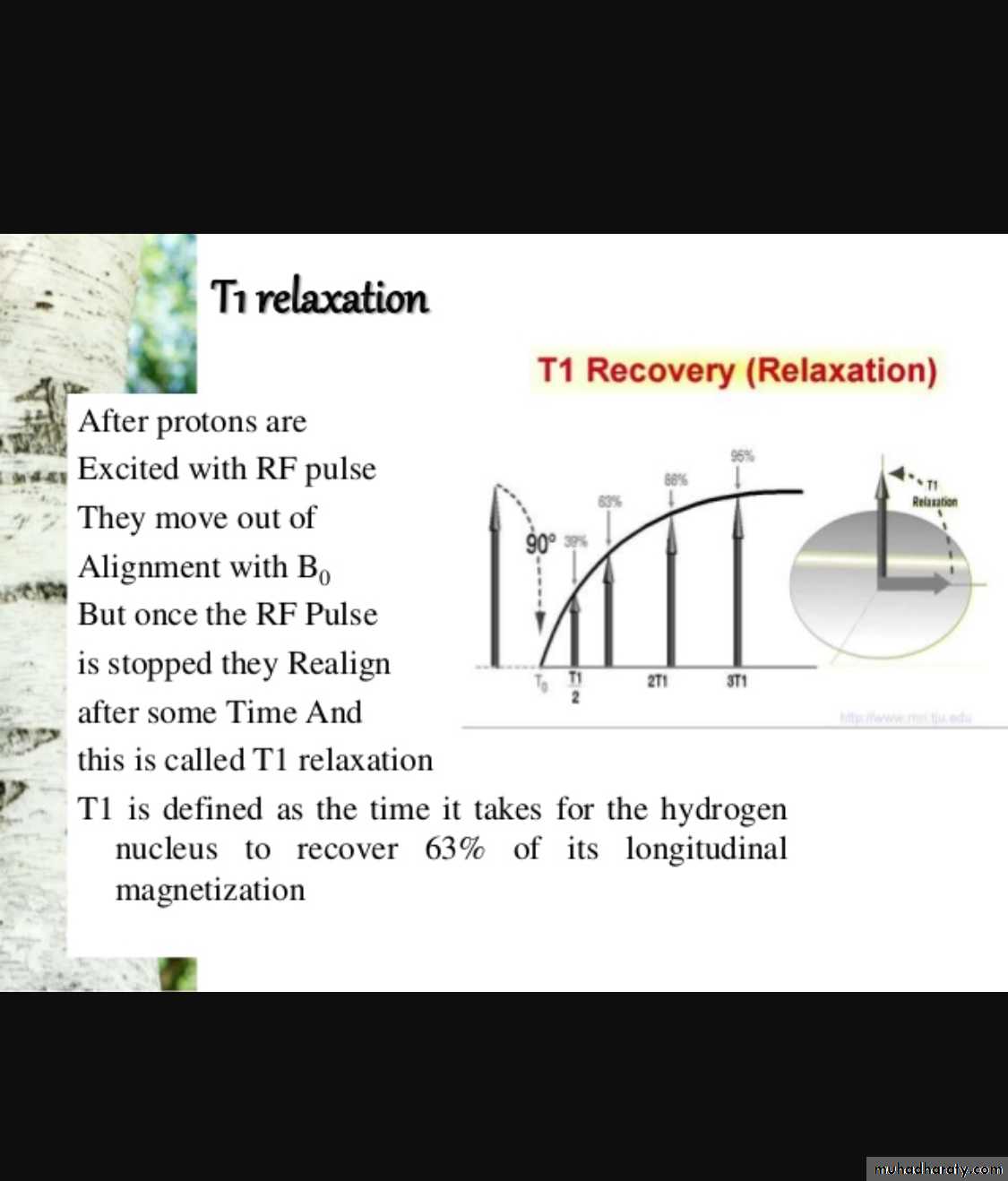 MRI physics