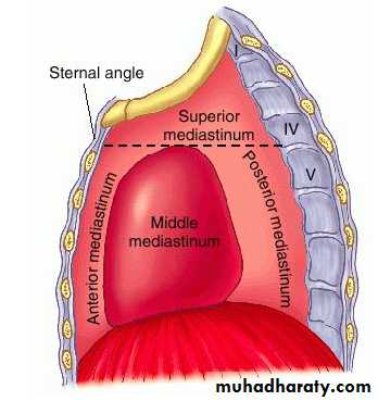 Mediastinum