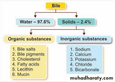Bile Secretion by the Liver