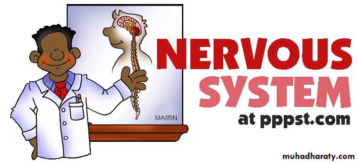 Nervous System