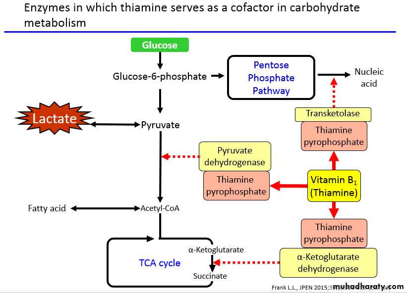 Malabsorption of Fat-Soluble Vitamins