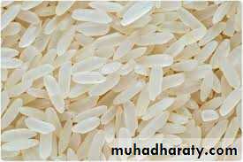 Malabsorption of Fat-Soluble Vitamins