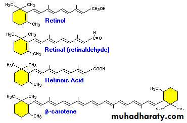 Malabsorption of Fat-Soluble Vitamins