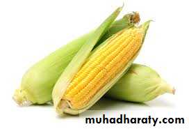 Malabsorption of Fat-Soluble Vitamins