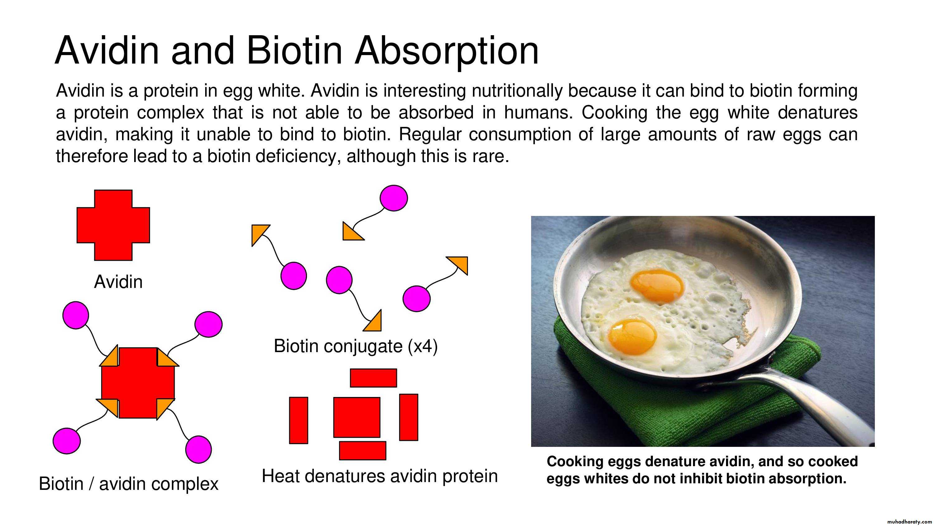 Malabsorption of Fat-Soluble Vitamins