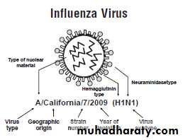 Influenza