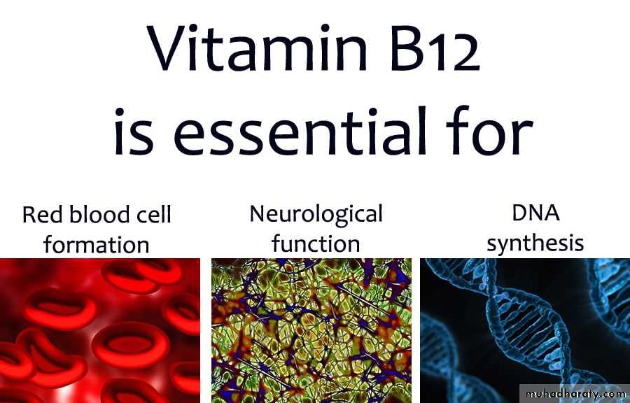 Nutritional Deficiency