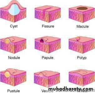Overview of Viral Infections