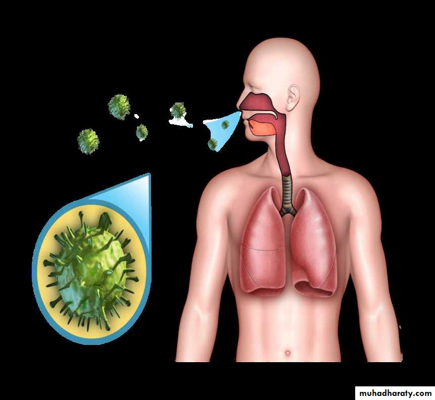 Overview of Viral Infections