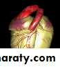 1 CVD Control and Preventive Strategies