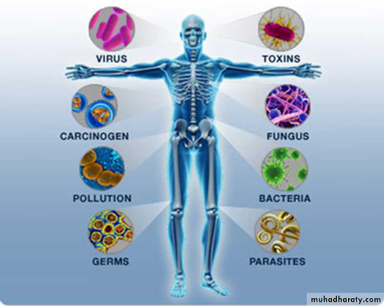 Immunity