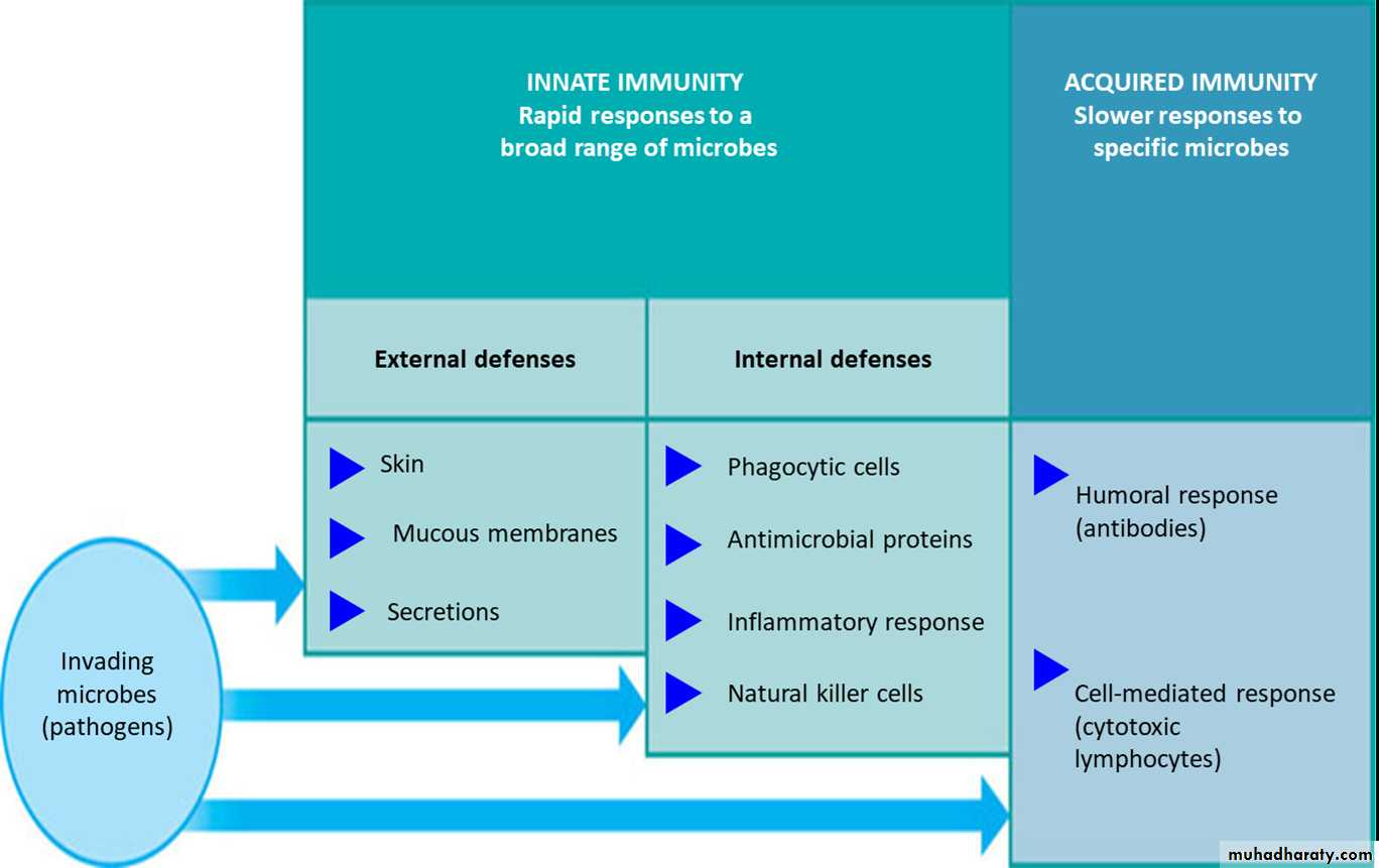 Immunity
