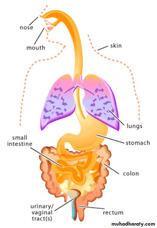 Immunity