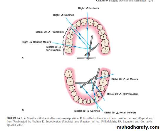 INTERPRETATION OF ENDODONTIC RADIOGRAPH
