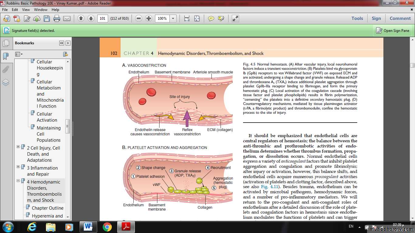 Lec 4