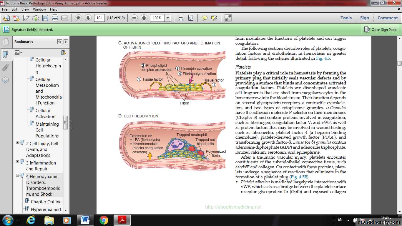 Lec 4
