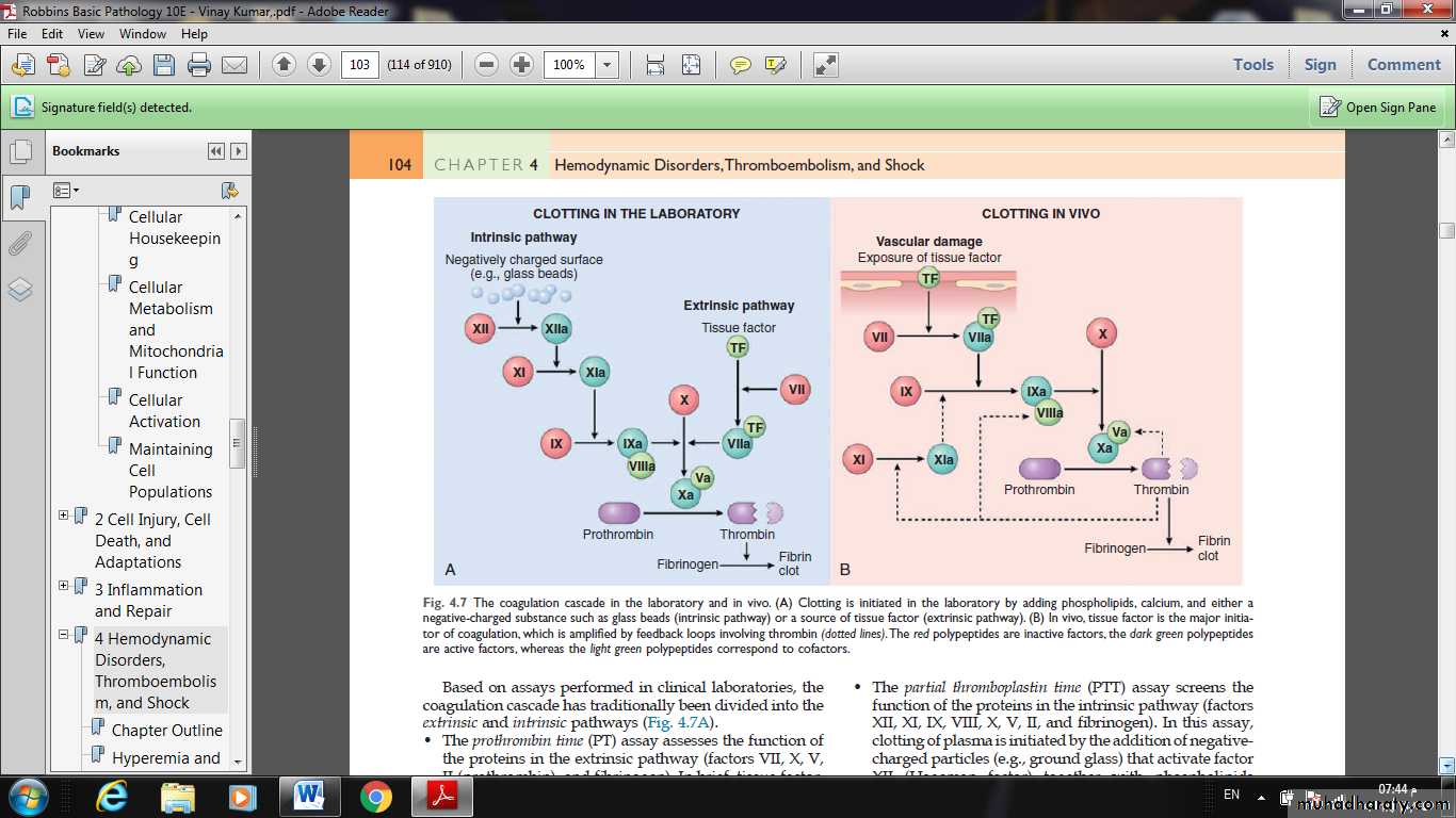 Lec 5