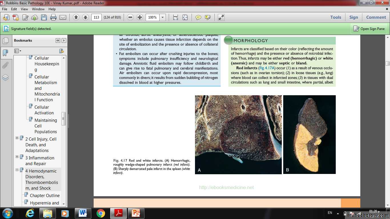 Lec 5