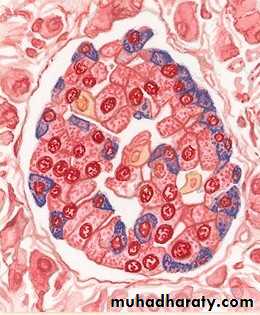 Insulin Therapy