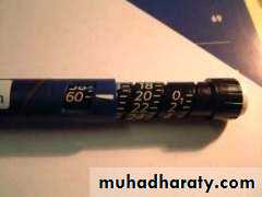 Insulin Therapy