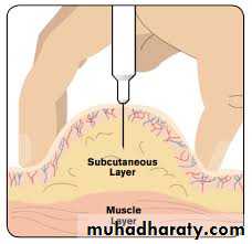 Insulin Therapy