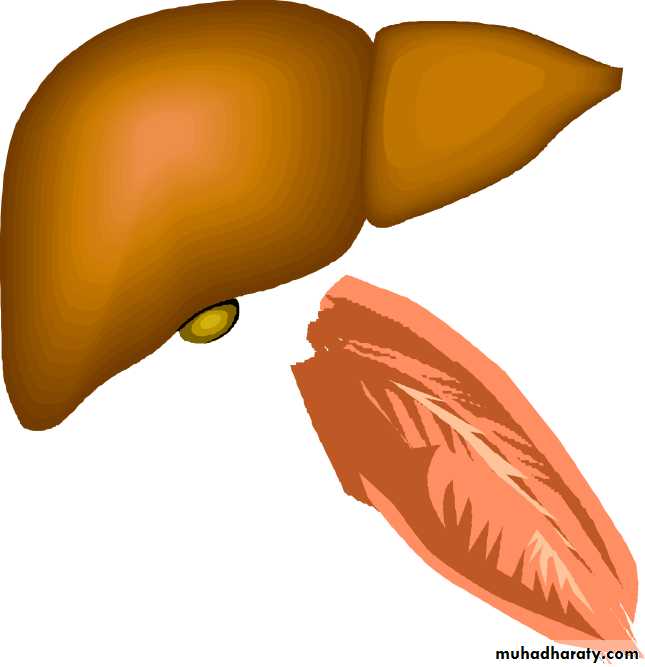 Insulin Therapy