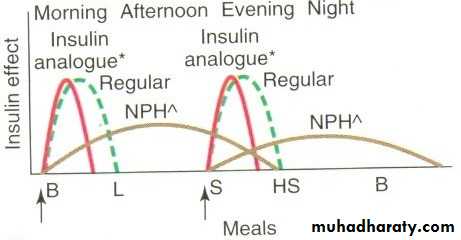 Insulin Therapy