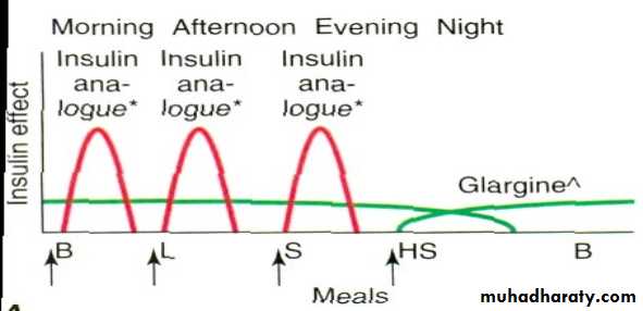 Insulin Therapy