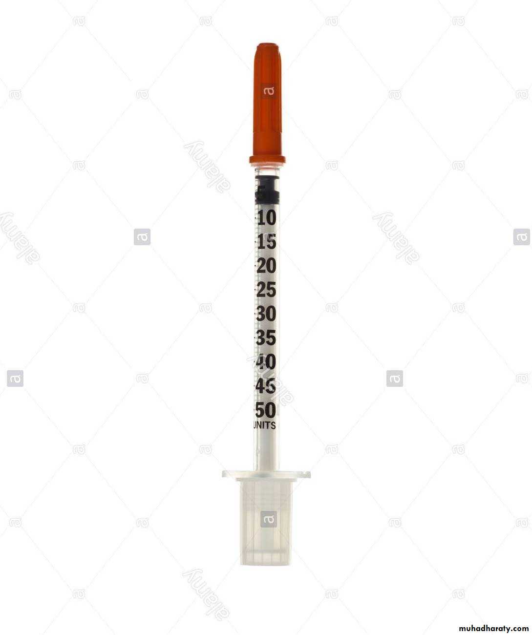 Insulin Therapy