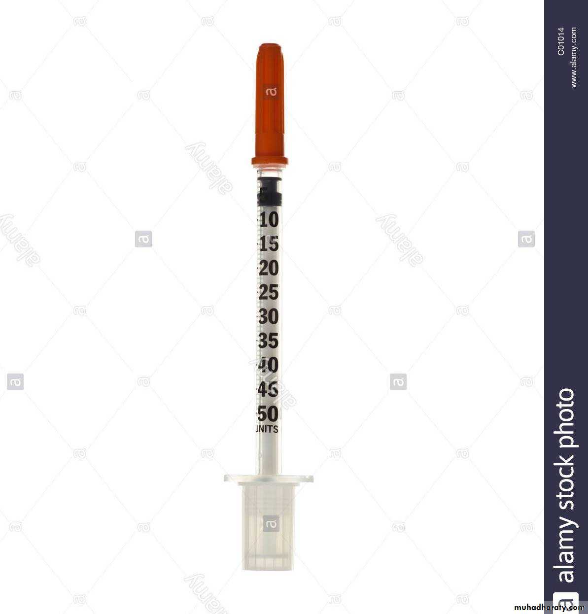 Insulin Therapy
