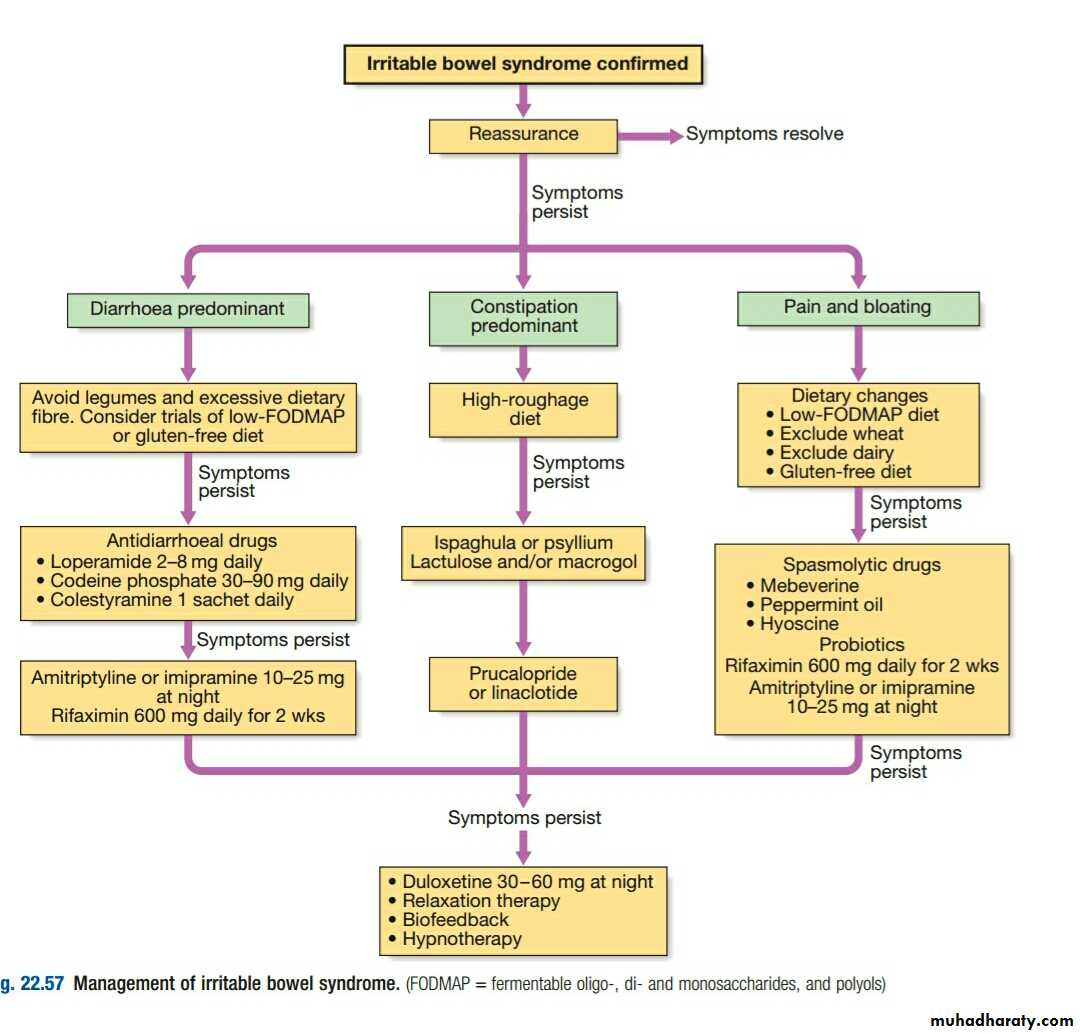 IRRITABLE BOWEL SYNDROME