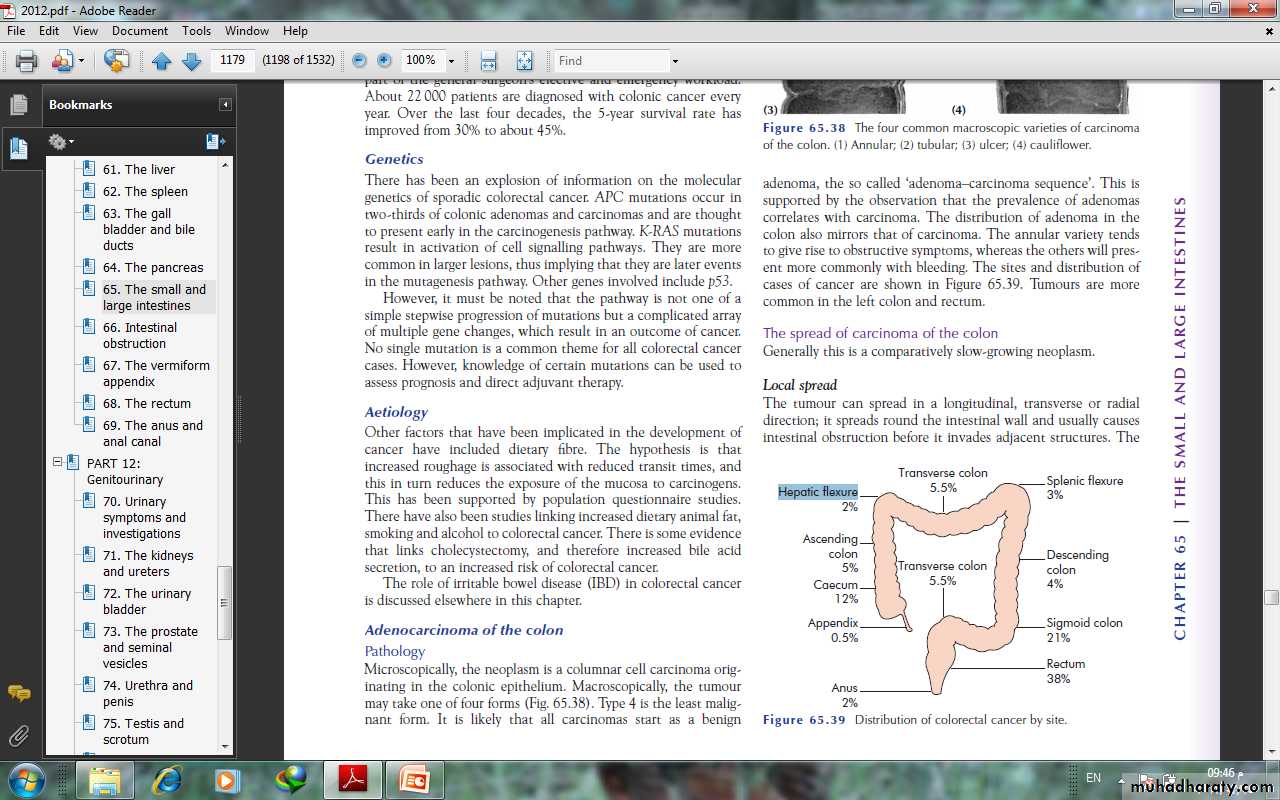 Small and large Bowel
