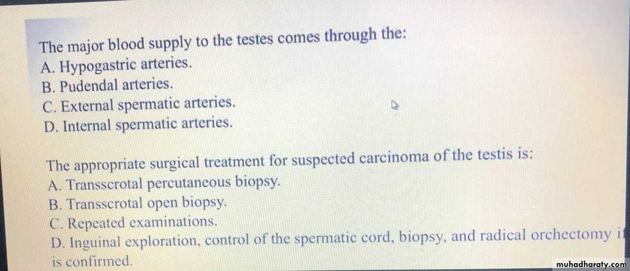 Testicular Tumor