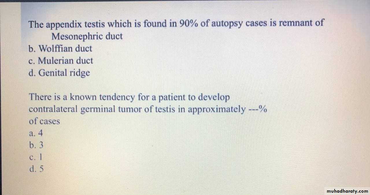Testicular Tumor