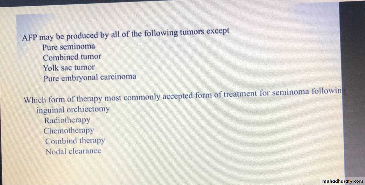 Testicular Tumor
