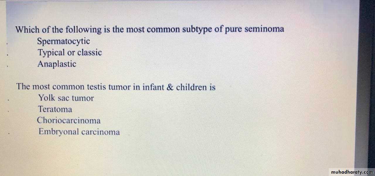 Testicular Tumor