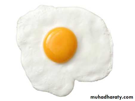 Nutrition 2